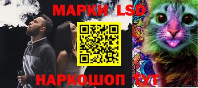 индика Кинель