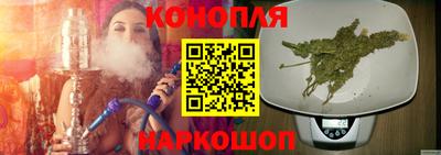 гидра Кимры