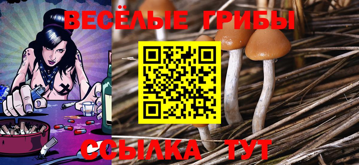 Псилоцибиновые грибы ЛСД  Вход с VPN  Кохма 