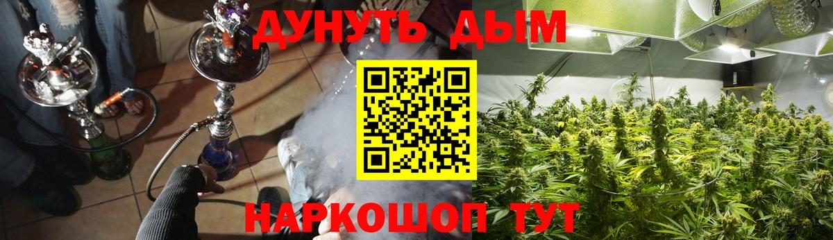 Конопля OG Kush  Канабис план  Кохма  Бошки марихуана AK-47  Вход с VPN  Шишки марихуана Bruce Banner 